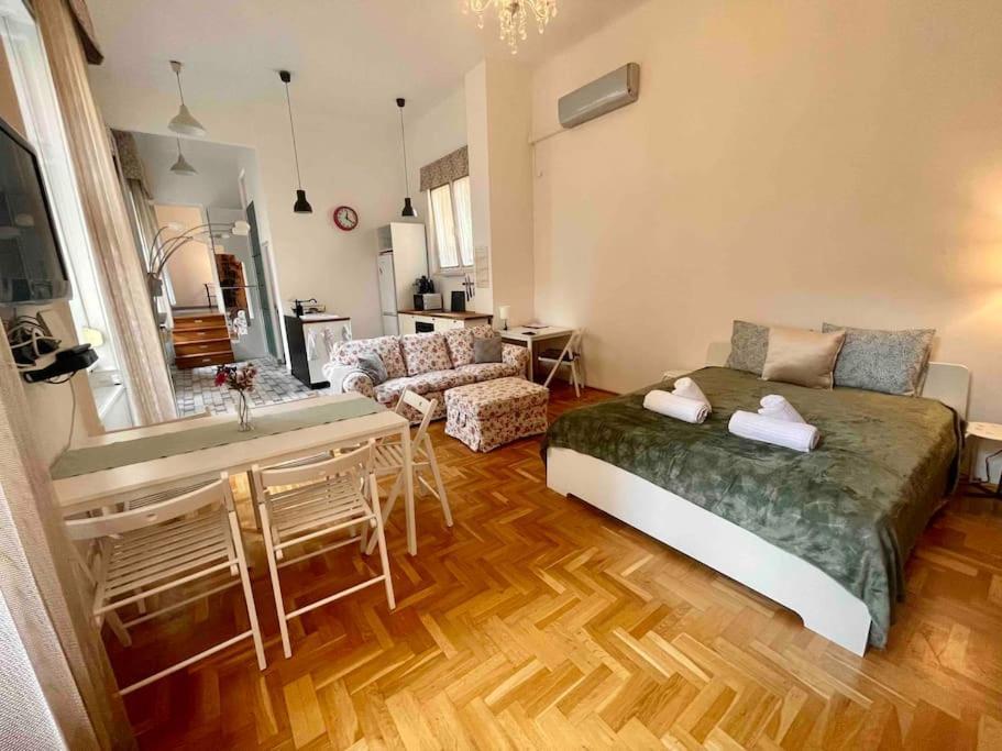 Knezits Spacious Ac Terrace Free Parking Budapest Kültér fotó